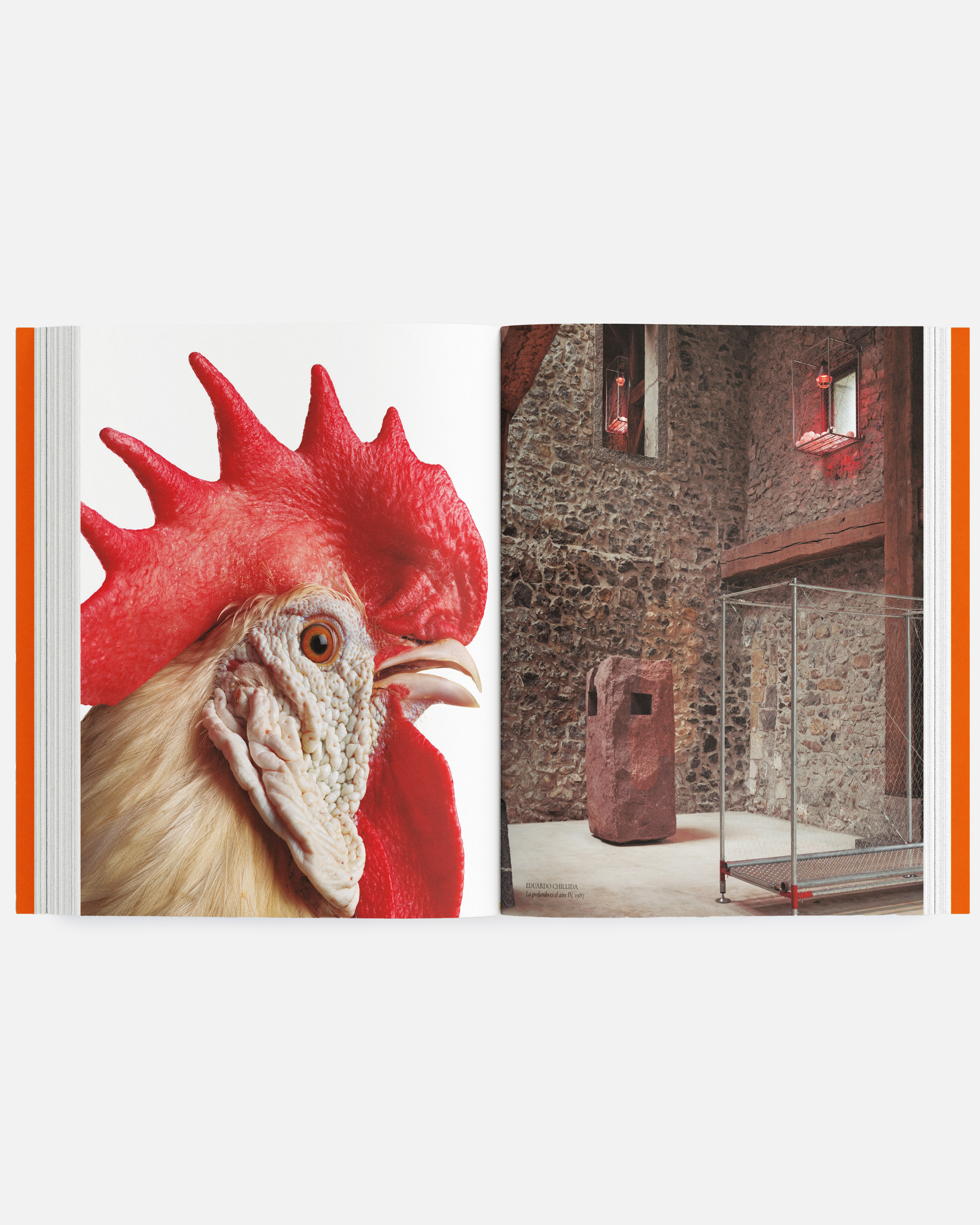 CATÁLOGO LIMINA CCP30