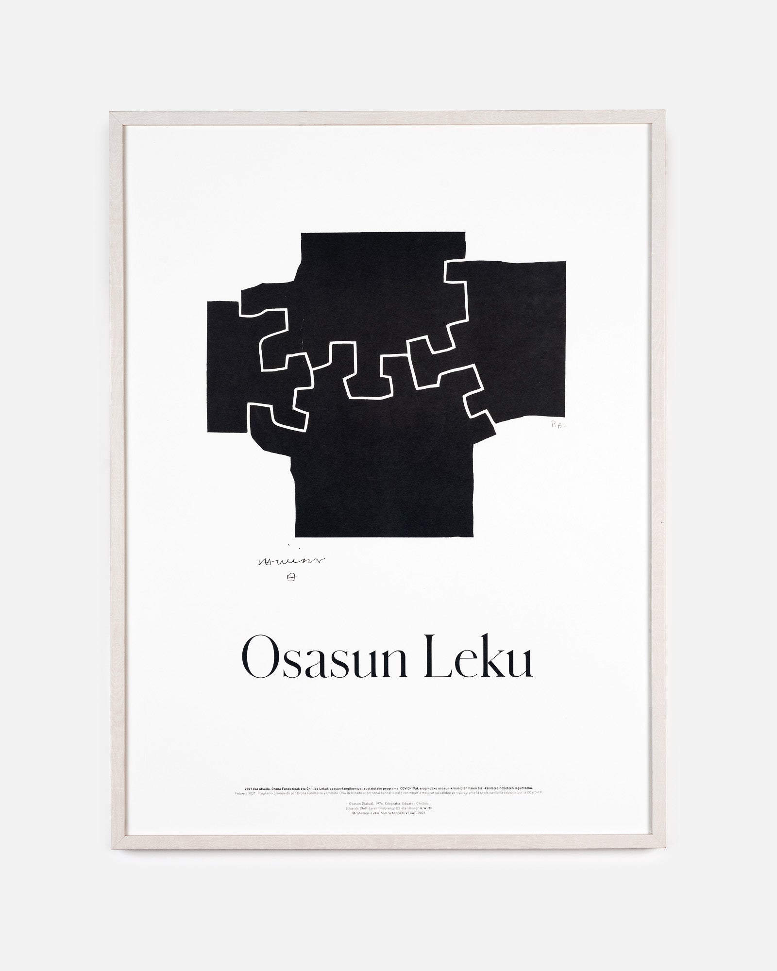 PÓSTER OSASUN LEKU