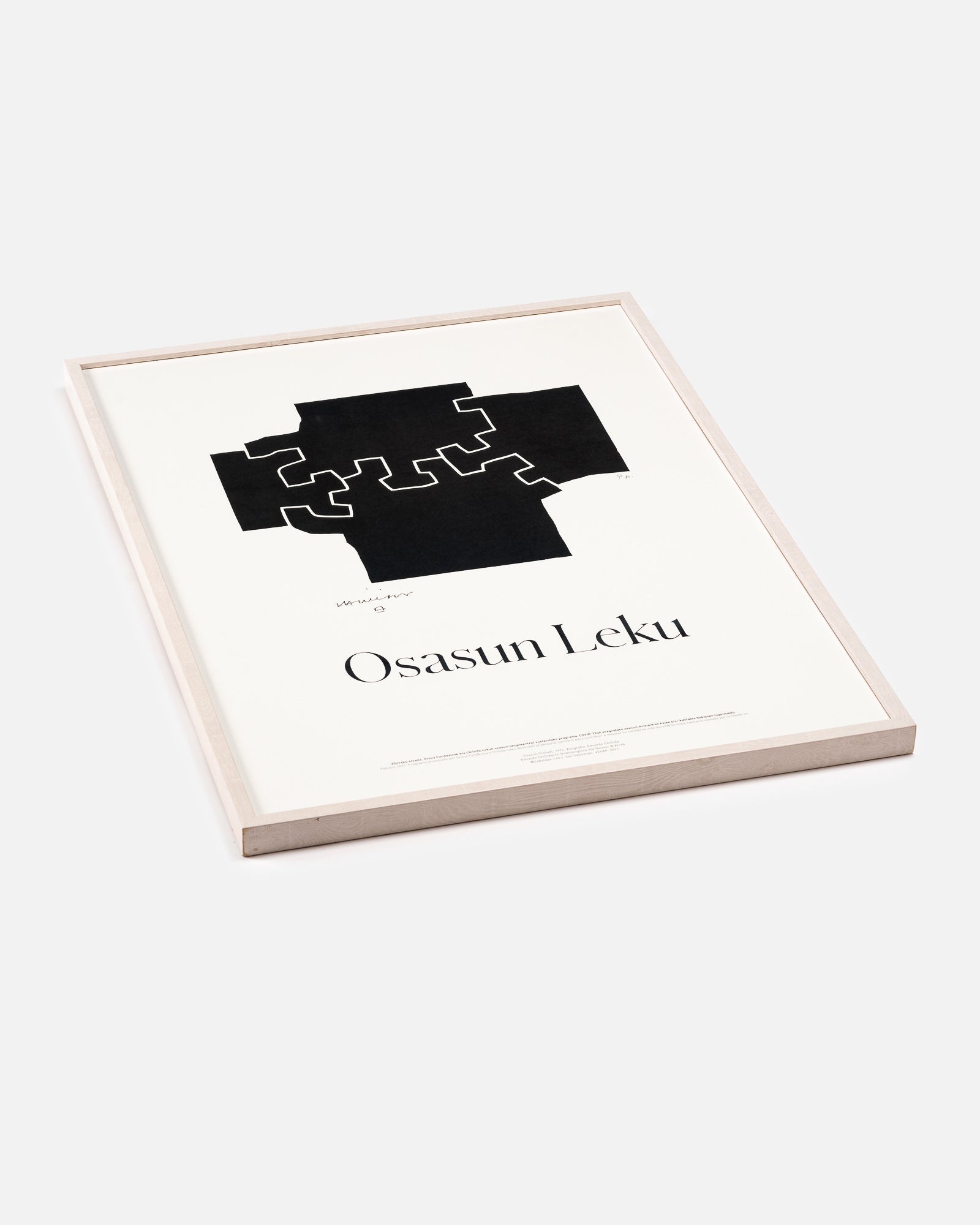 PÓSTER OSASUN LEKU